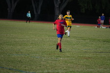 Enlarge photo 525
