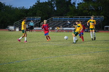 Enlarge photo 534