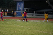 Enlarge photo 541