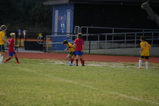 Enlarge photo 542
