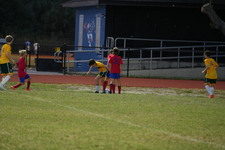 Enlarge photo 543