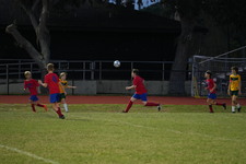 Enlarge photo 544