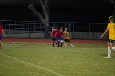 Enlarge photo 556
