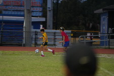 Enlarge photo 591