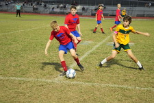 Enlarge photo 663