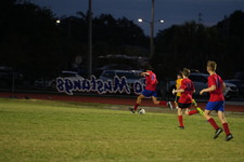 Enlarge photo 871