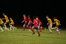 Enlarge photo 1137