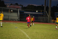 Enlarge photo 1139