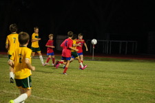 Enlarge photo 1209