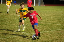Enlarge photo 1213