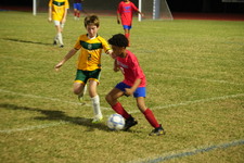 Enlarge photo 1215