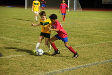 Enlarge photo 928