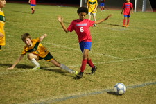 Enlarge photo 1218
