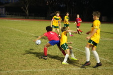 Enlarge photo 1233