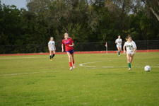 Enlarge photo 306