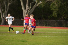 Enlarge photo 323
