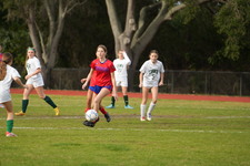 Enlarge photo 327