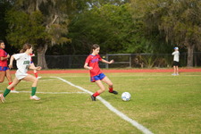 Enlarge photo 341