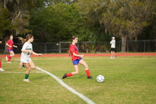 Enlarge photo 342