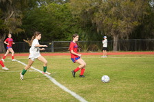 Enlarge photo 343