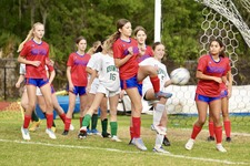 Enlarge photo 352
