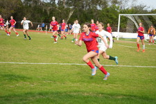 Enlarge photo 379