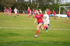 Enlarge photo 380