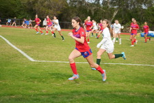Enlarge photo 382