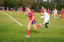 Enlarge photo 383