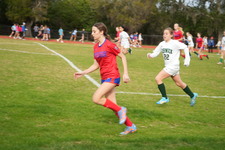 Enlarge photo 384