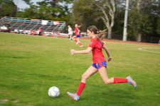Enlarge photo 388