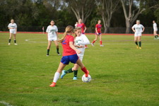 Enlarge photo 424