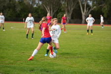 Enlarge photo 425