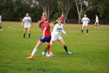 Enlarge photo 426