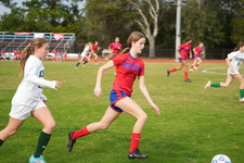 Enlarge photo 438