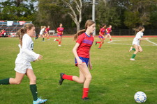 Enlarge photo 439