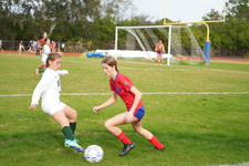 Enlarge photo 443