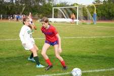 Enlarge photo 446