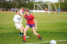 Enlarge photo 447