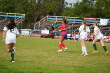Enlarge photo 459