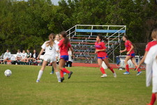 Enlarge photo 473