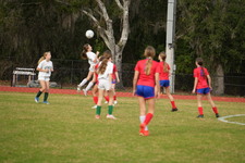Enlarge photo 493