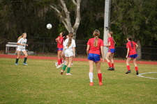 Enlarge photo 496