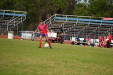 Enlarge photo 509