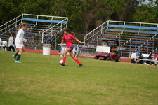 Enlarge photo 513