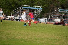 Enlarge photo 517