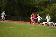 Enlarge photo 529