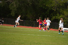 Enlarge photo 533
