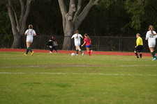 Enlarge photo 540