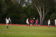 Enlarge photo 547